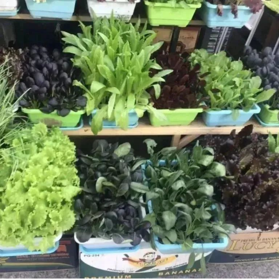 开课啦  校本课程启新航，志趣发展助成长！
