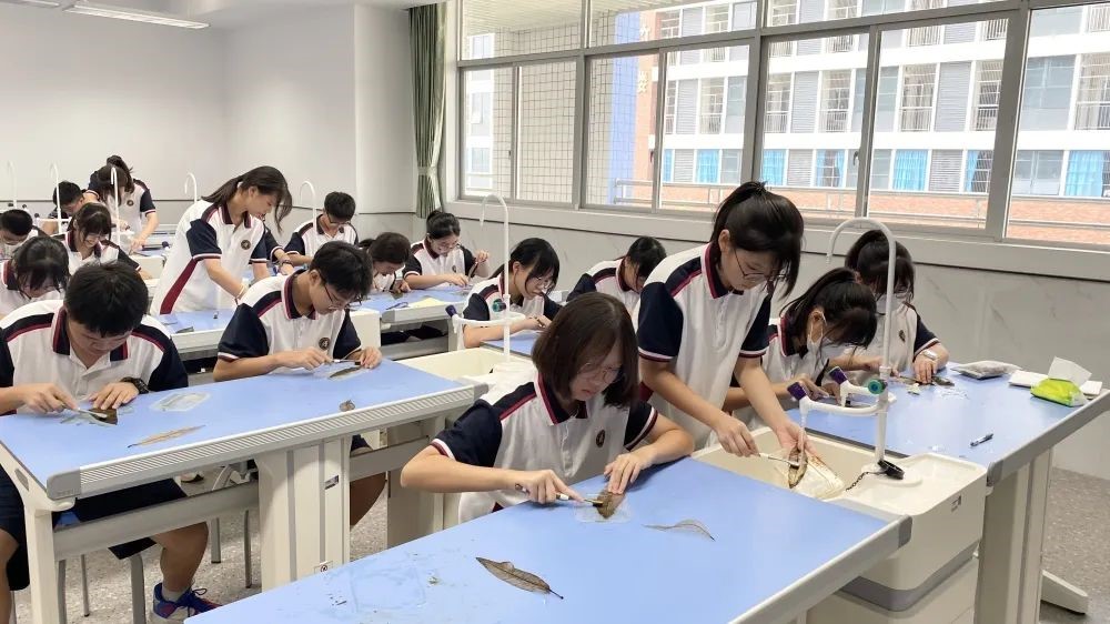 让学生爱上动手 特色校本课“玩”得开心，记得深刻！