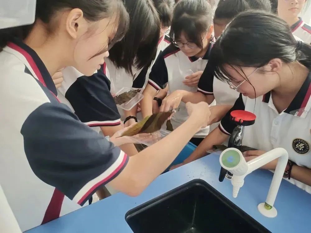 优秀科组展风采  探“生”之源，究“物”之理！