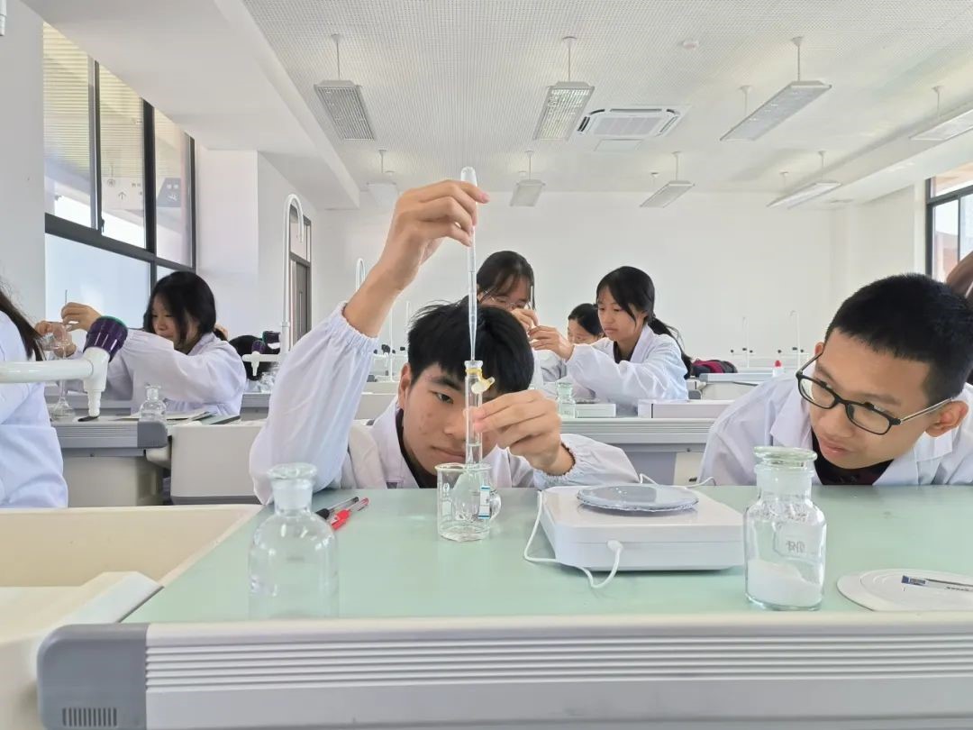 寻找答案  在如此变“化”莫测的化学世界里，学生在实验课上学习什么？