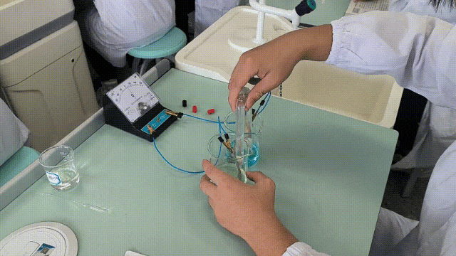 寻找答案  在如此变“化”莫测的化学世界里，学生在实验课上学习什么？