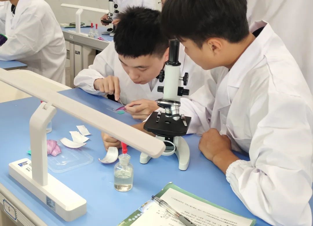 看！显微镜下的微观世界  荣源龙实验课记事（一）