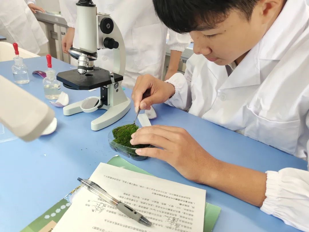 看！显微镜下的微观世界  荣源龙实验课记事（一）