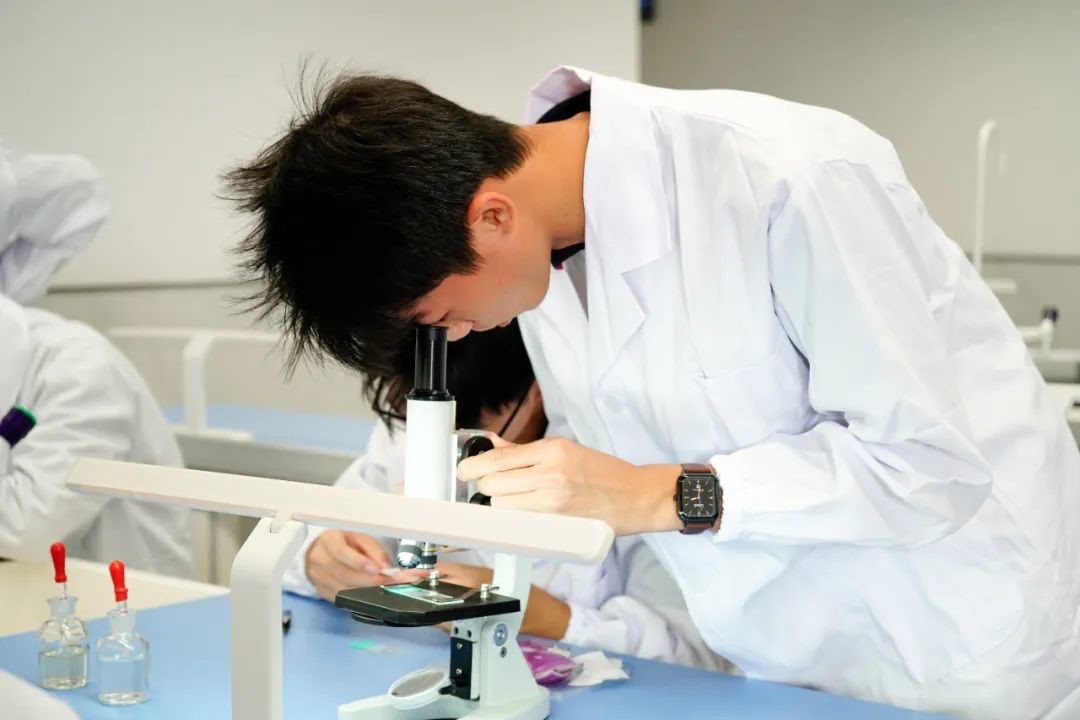 看！显微镜下的微观世界  荣源龙实验课记事（一）