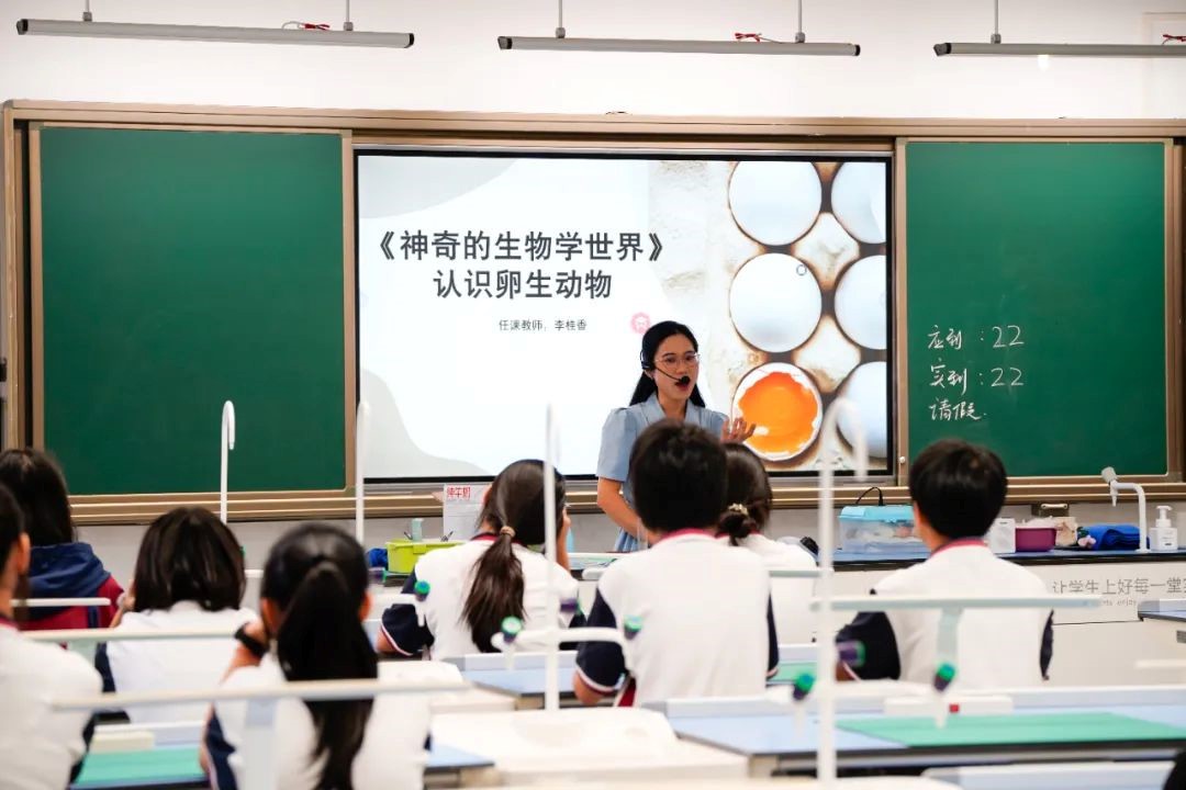 一切从一颗蛋开始... ...！我在校本课，孵化了只小鸭