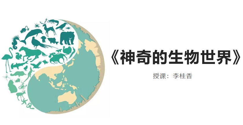 一切从一颗蛋开始... ...！我在校本课，孵化了只小鸭