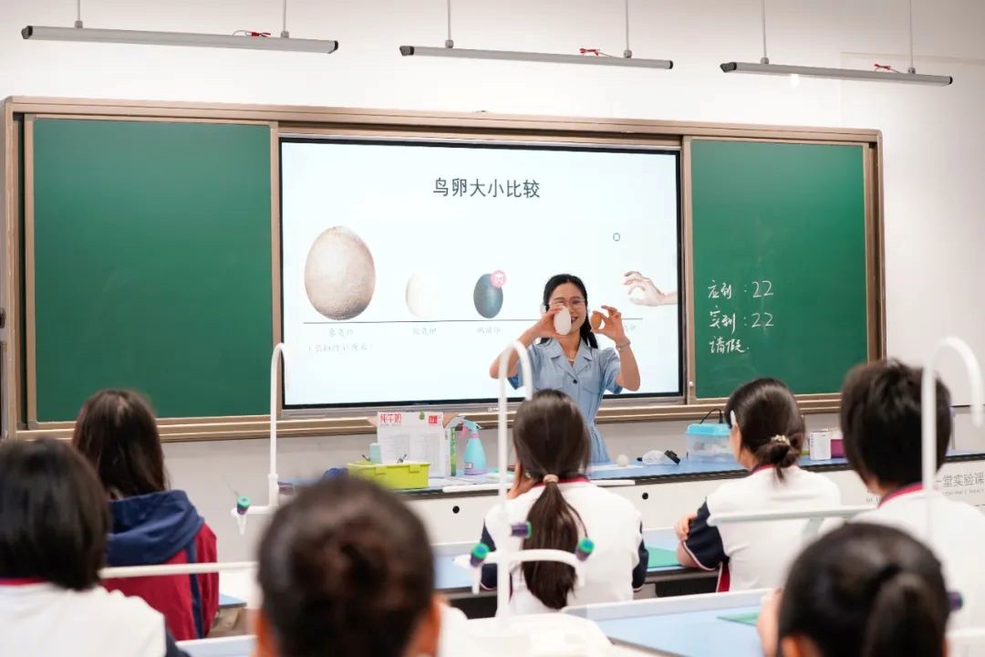 一切从一颗蛋开始... ...！我在校本课，孵化了只小鸭