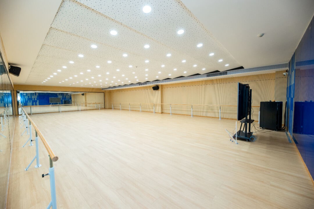 踔厉奋进 “艺”路生花  