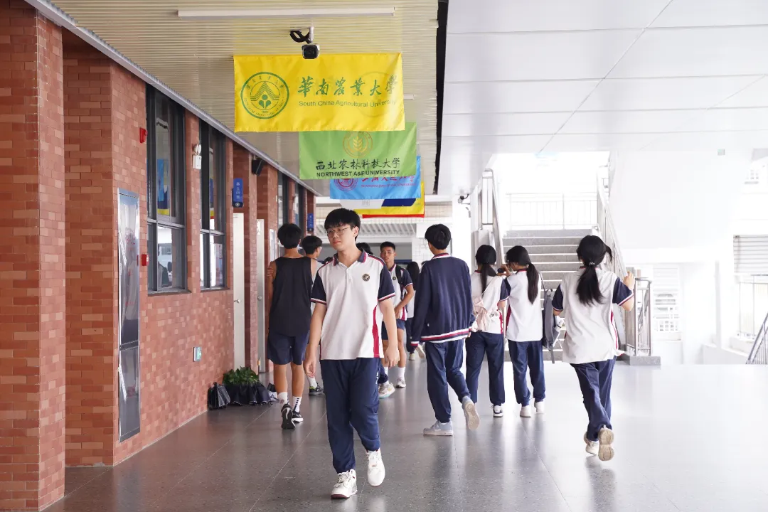 课后时光里的青春交响