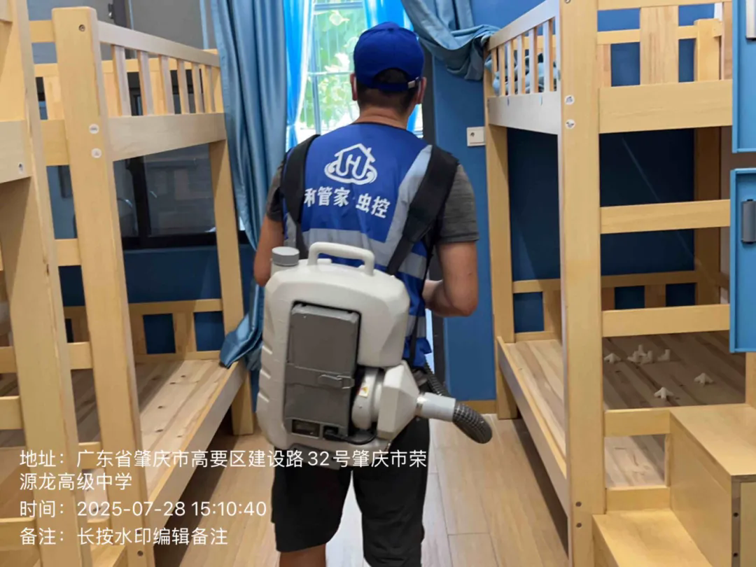 【暖心护航】荣源龙高级中学全面消杀蚊虫，为学子健康筑牢防线