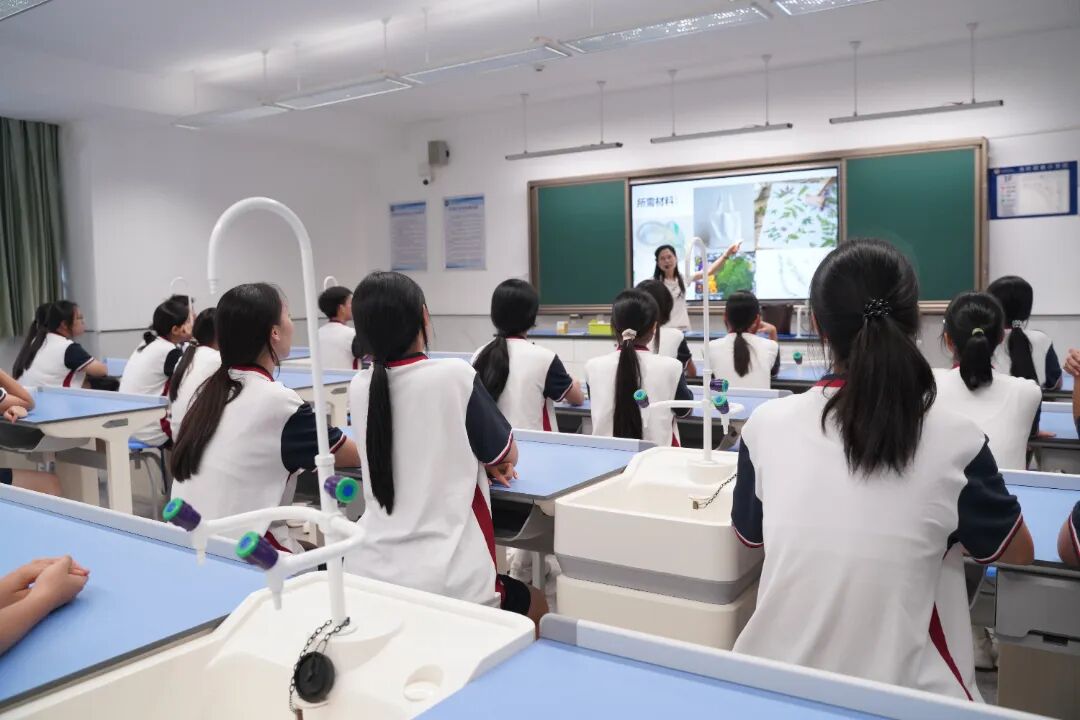 综合实践课程启新航 五育并行促成长| 精彩课程瞬间 综合实践课程启新航 五育并行促成长| 精彩课程瞬间