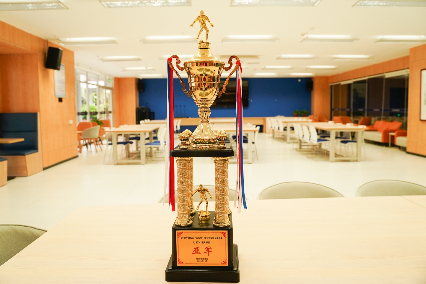 足球特色，荣耀荣源龙——以球健体，以球育人，培养全面发展的高素质人才