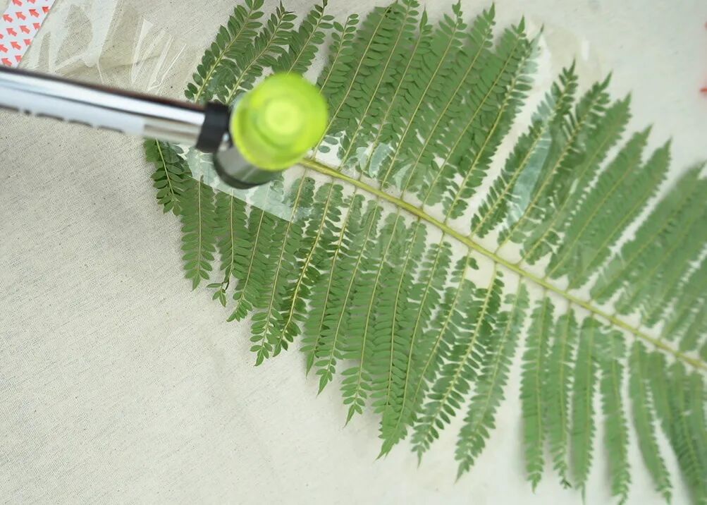 玩转生物学｜亲手创造的自然与美味