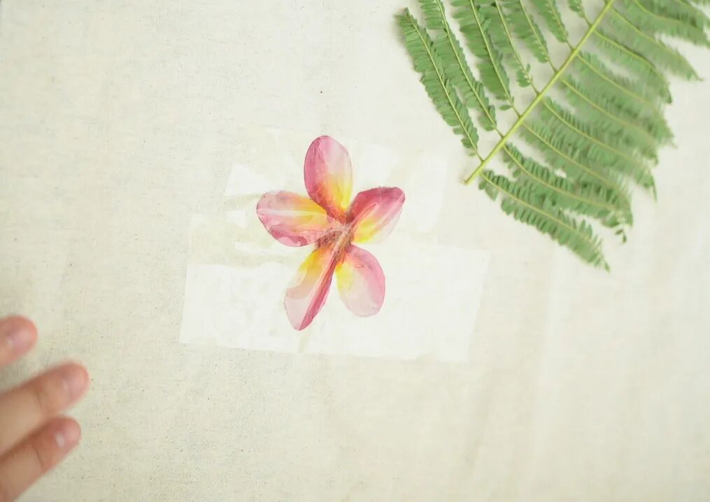 玩转生物学｜亲手创造的自然与美味