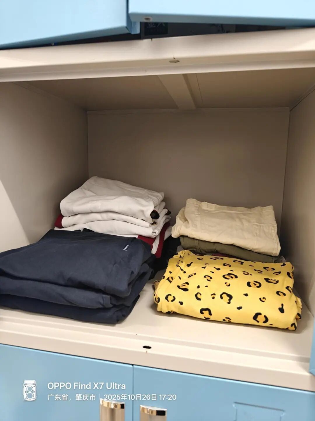 不止分数!荣源龙公寓日常,才是孩子成长的最优解之一 不止分数!荣源龙公寓日常,才是孩子成长的最优解之一