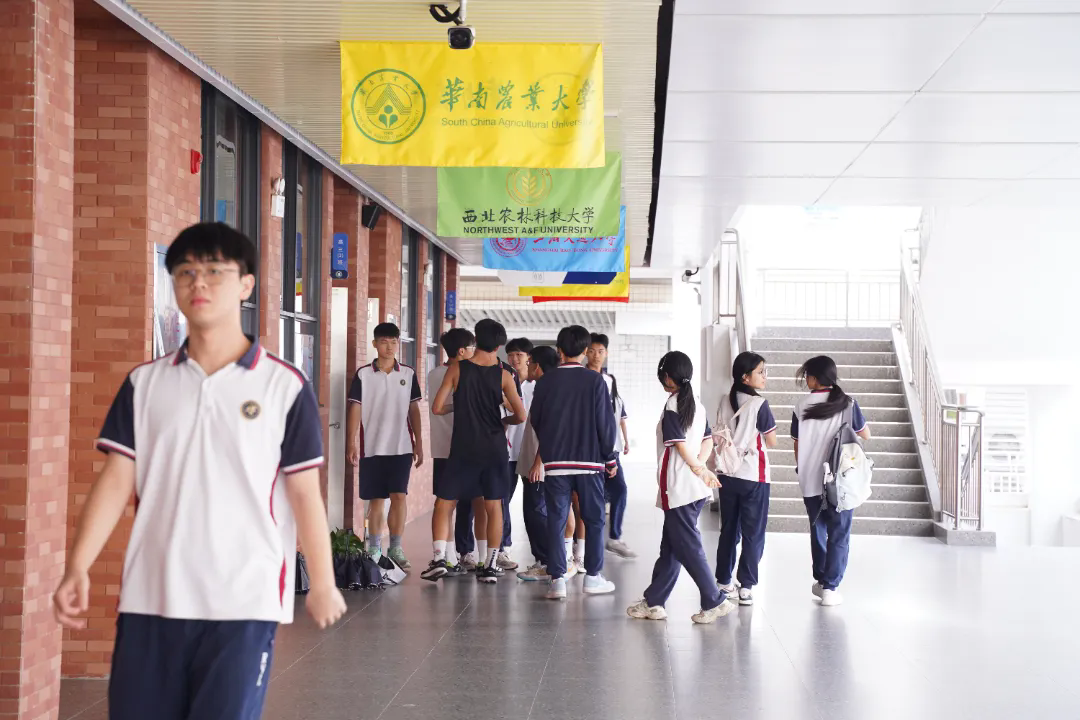 【守望者手记】从“三句作文”到范文朗读：我如何读懂一个复读生的“出发”