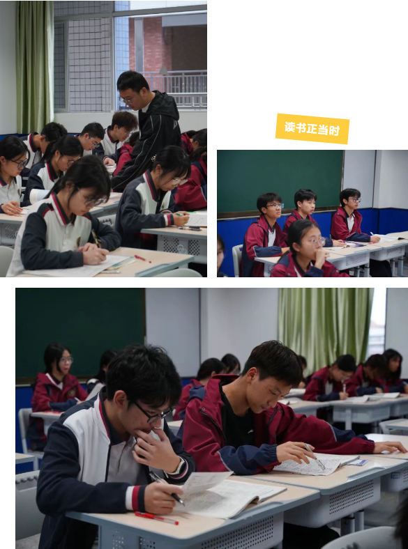 筑基启新，培优赋能——高一课后辅导有序落地，助力学生稳步前行