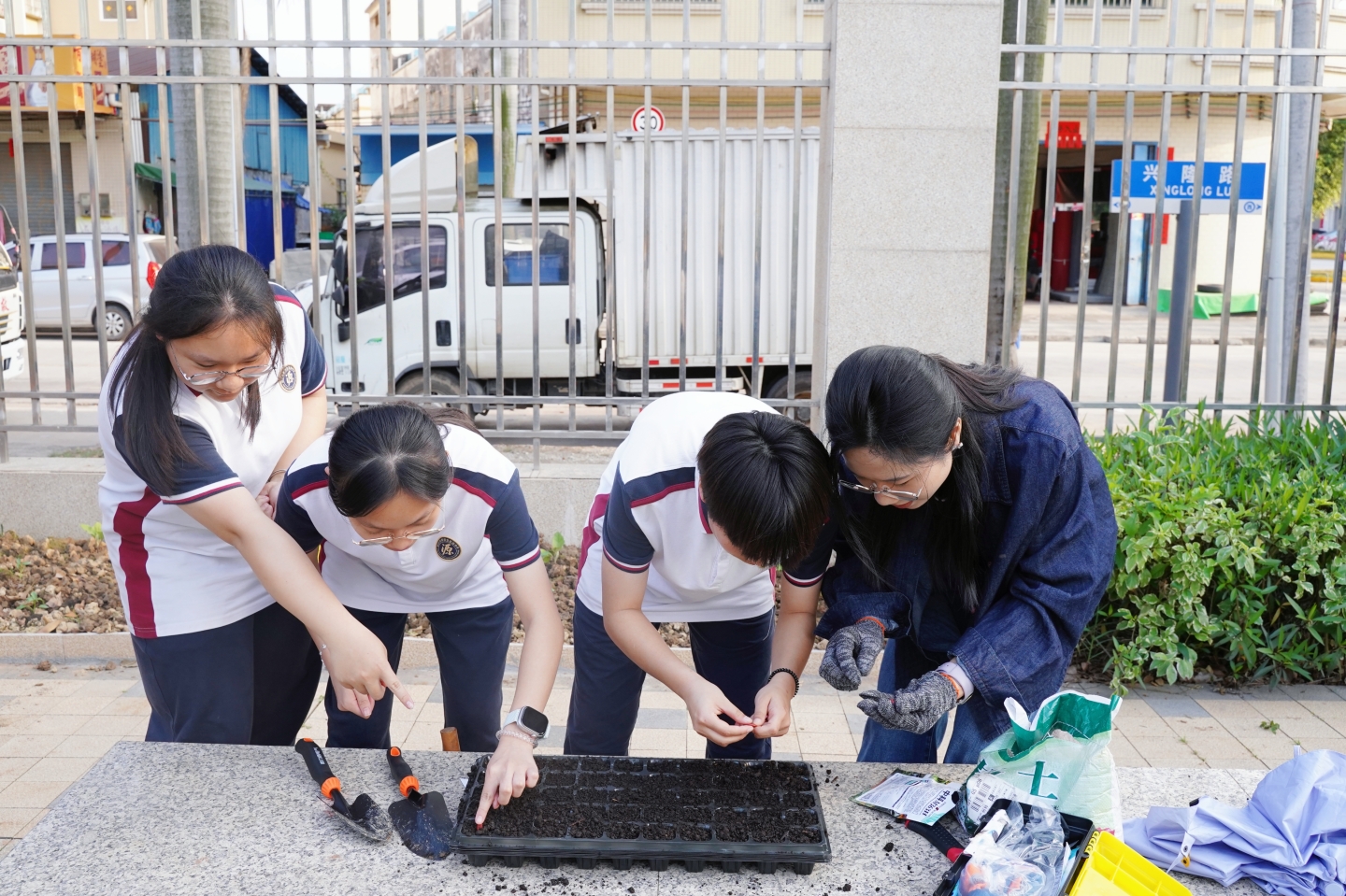 以实践润成长，以热爱赴新程——荣源龙校本课程精彩回顾