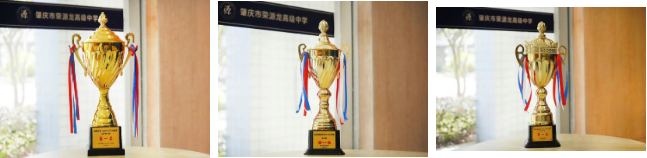 学校简介|肇庆市荣源龙高级中学 学校简介|肇庆市荣源龙高级中学