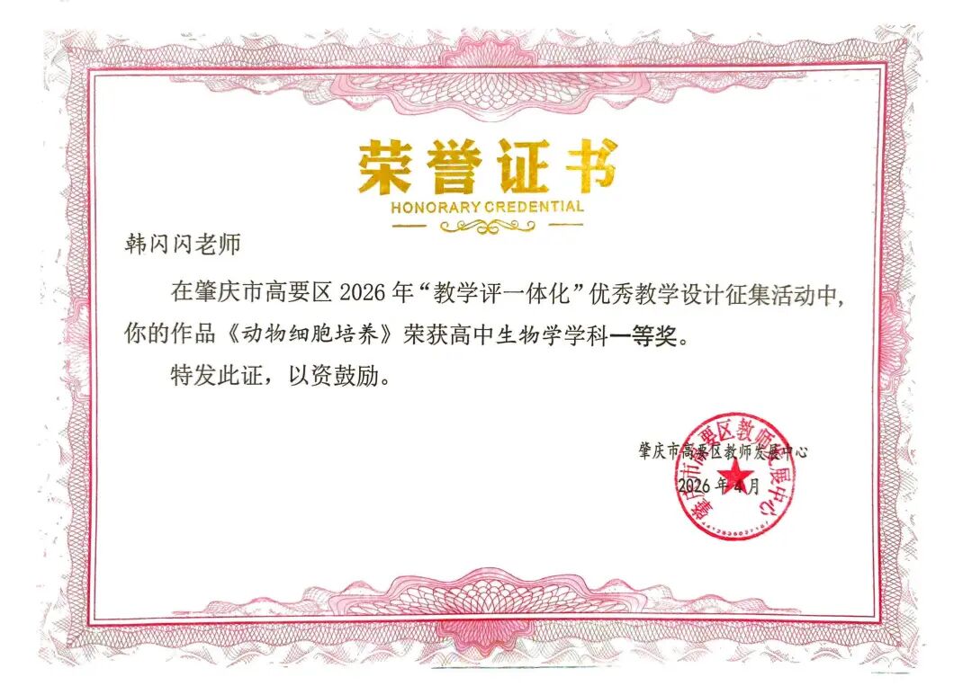 五名教师、三个学科、在全区激烈竞争中同时夺魁 五名教师、三个学科、在全区激烈竞争中同时夺魁