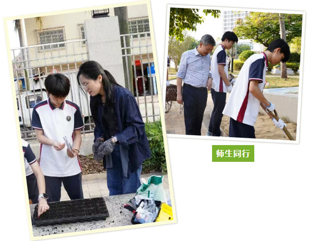 从课本到田间,走出去的劳动教育|校本课程——荣源龙开心农场 从课本到田间,走出去的劳动教育|校本课程——荣源龙开心农场