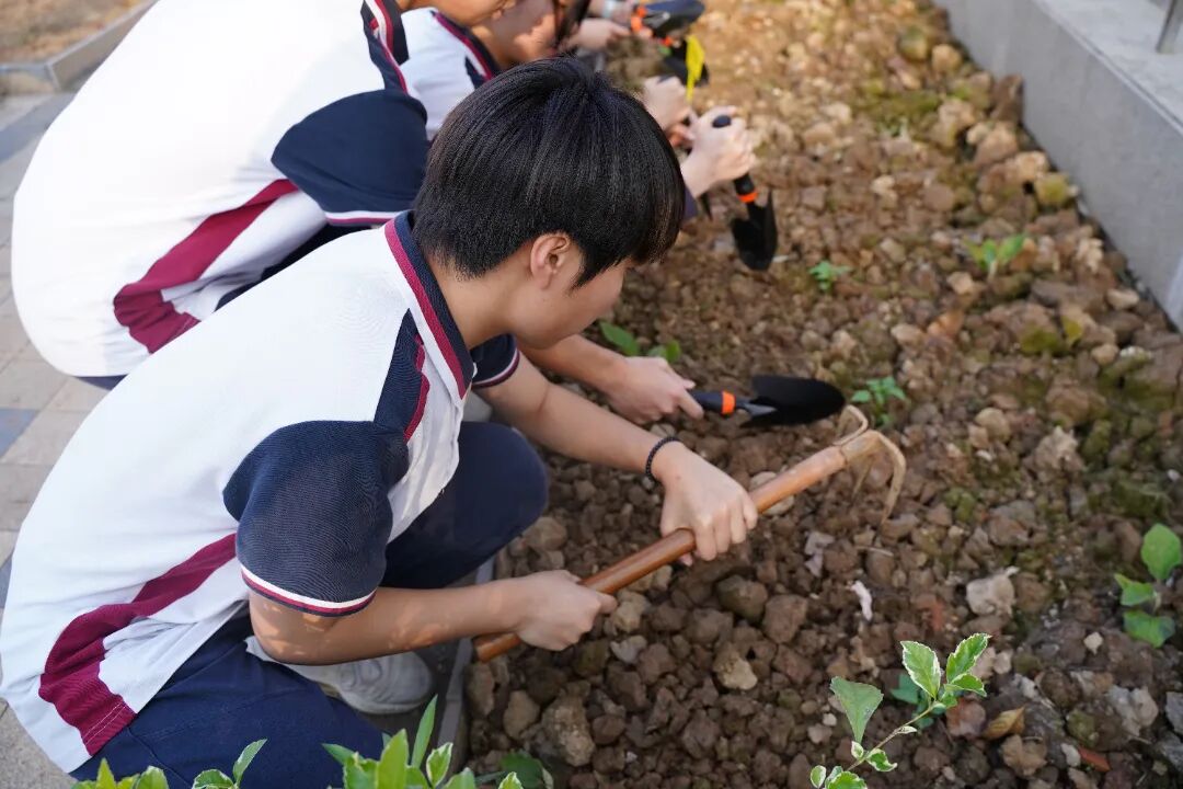 从课本到田间,走出去的劳动教育|校本课程——荣源龙开心农场 从课本到田间,走出去的劳动教育|校本课程——荣源龙开心农场