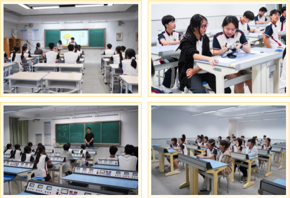 多彩校本,乐享成长 | 荣源龙高级中学校本课程风采集锦 多彩校本,乐享成长 | 荣源龙高级中学校本课程风采集锦